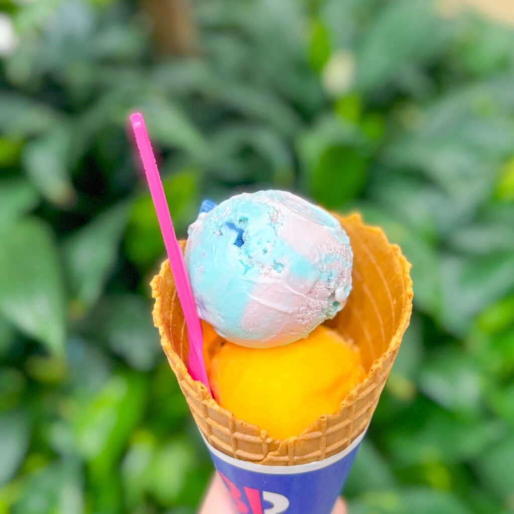 サーティワンパーティー☆